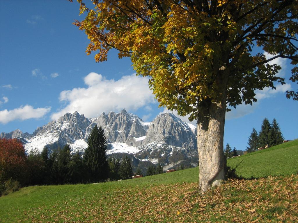 Willa Bauernhof Buchberg Oberndorf in Tirol Zewnętrze zdjęcie